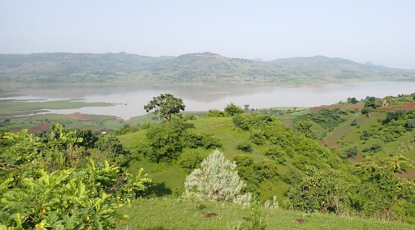 Nature Based Beekeeping for Sustainable Livelihoods and Ecosystem Service in Ibnat, Amhara    Blog by Janet Lowore