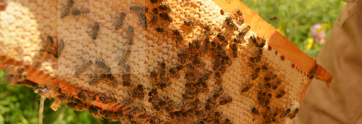 Beekeeping in Ethiopia