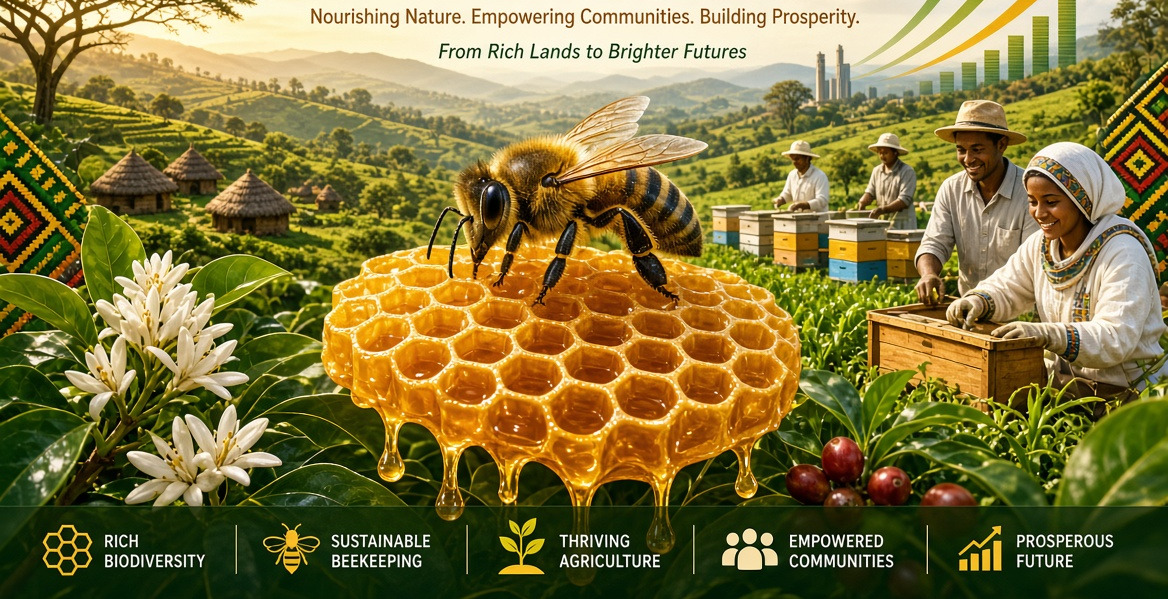 Sustainable Honey Harvesting