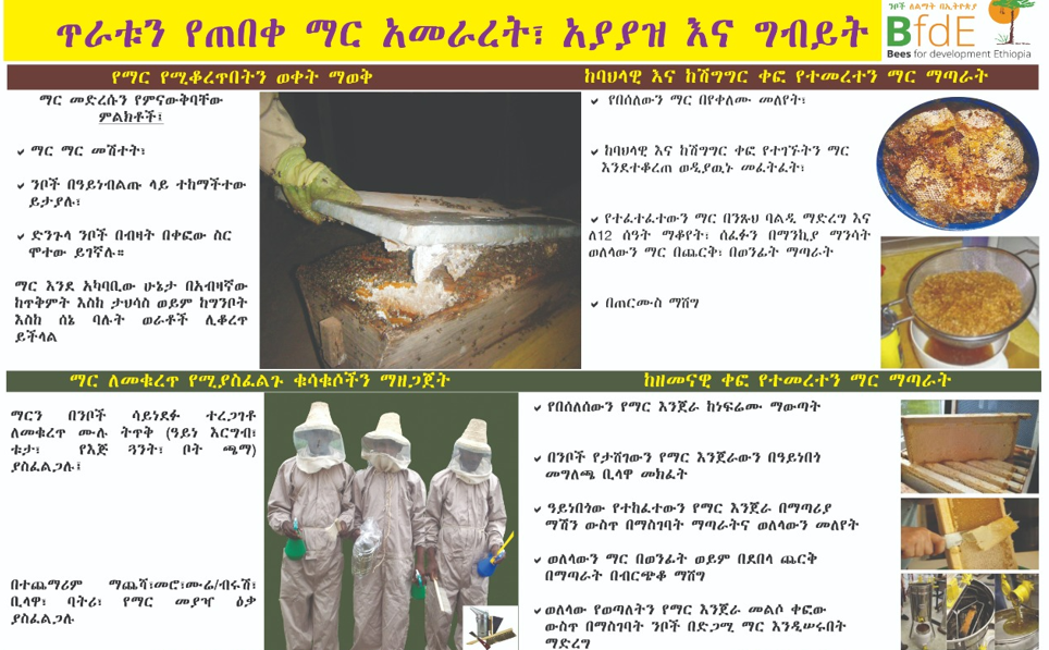 ጥራቱን የጠበቀ የማር ምርት