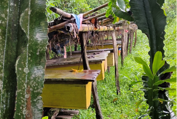 Organic certification