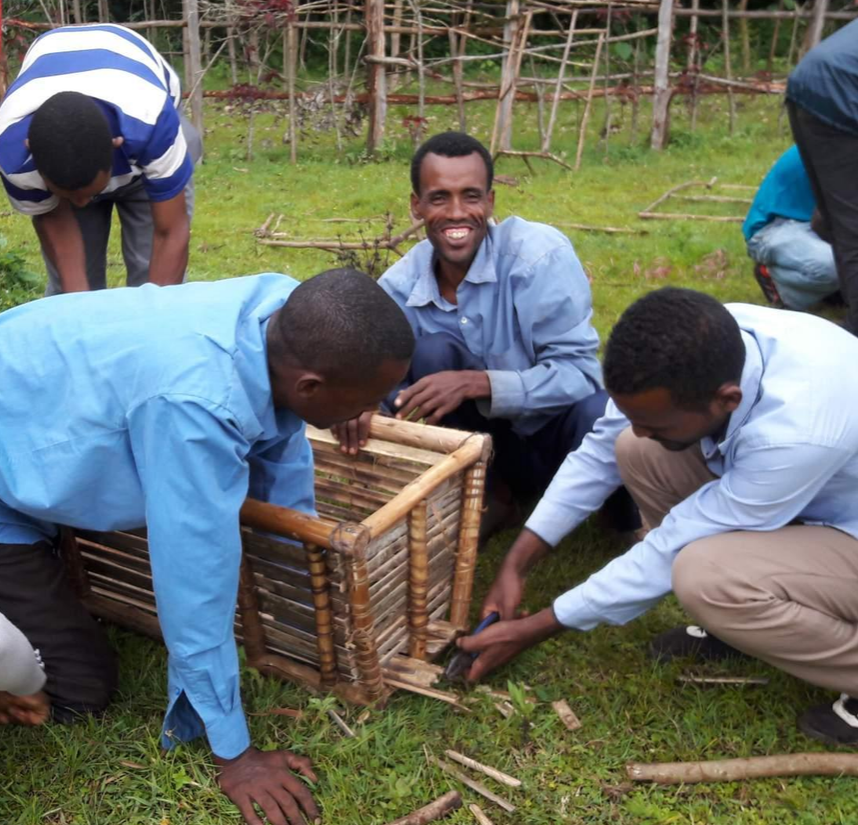 Beekeeping Training & Community Support