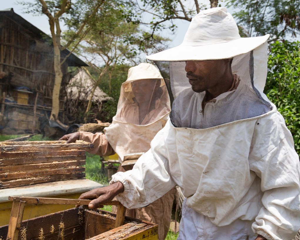 Youth & Women Beekeeping Empowerment